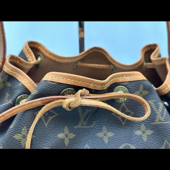 Petit Noe - Picture 10 of 10